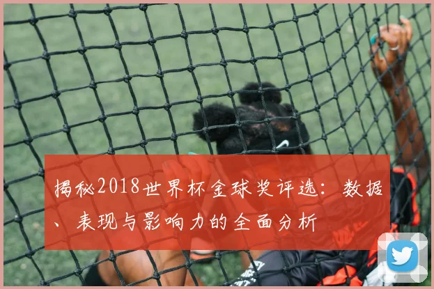揭秘2018世界杯金球奖评选：数据、表现与影响力的全面分析