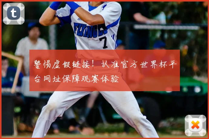 警惕虚假链接！认准官方世界杯平台网址保障观赛体验