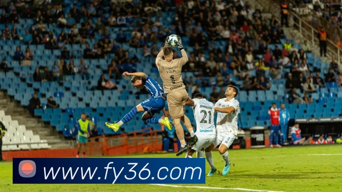 多媒体互动体验